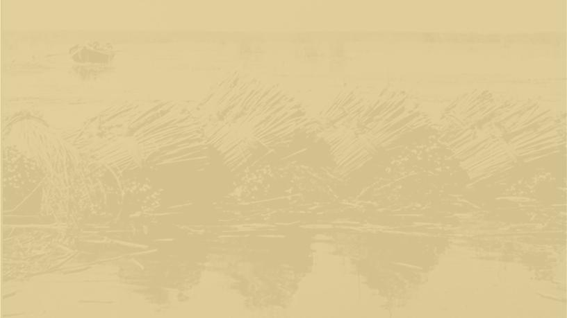 The Create collection background