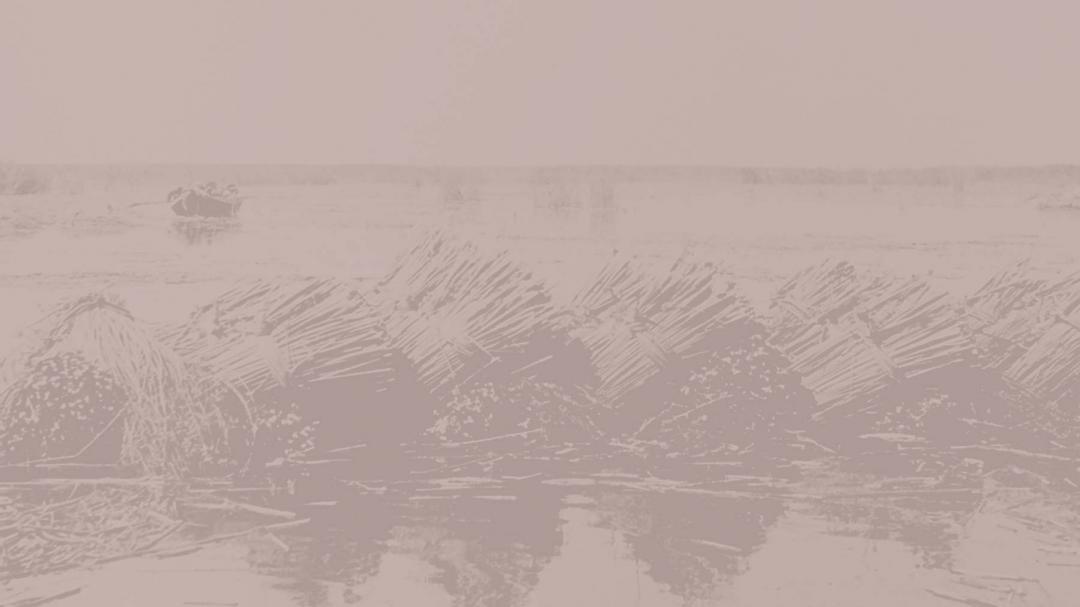 The Binary collection Background Image